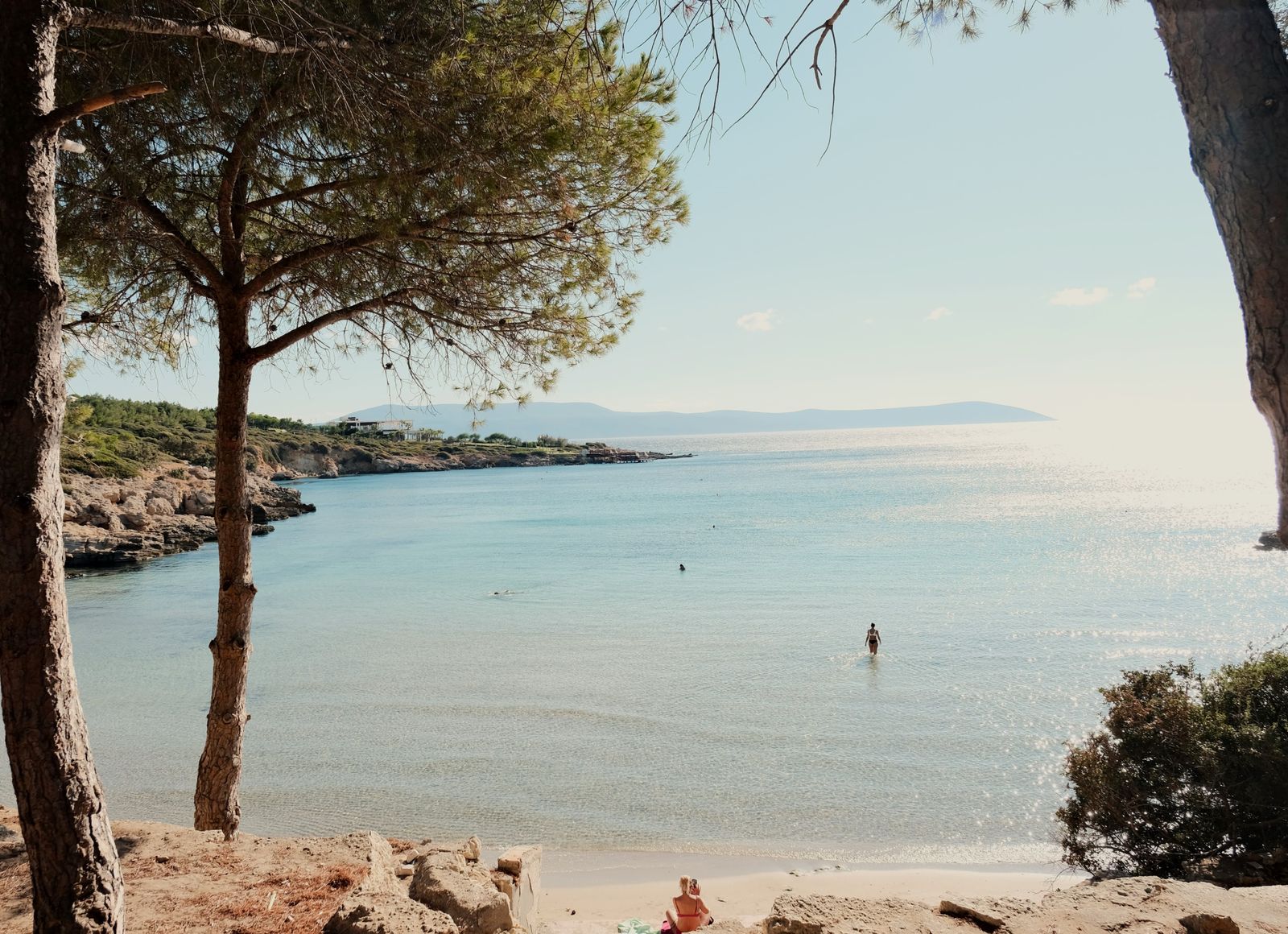 A calm cove of shallow clear water framed by pine trees, one swimmer far out