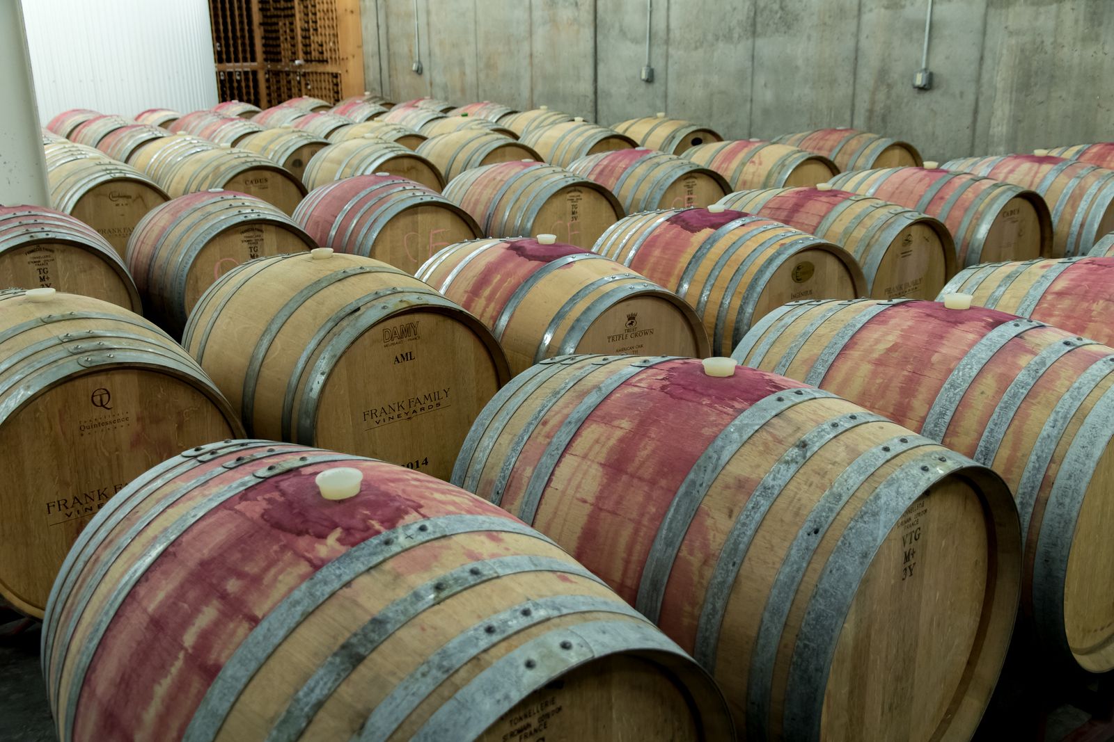 Oak barrels with wine-stained middles in rows in the barrel hall